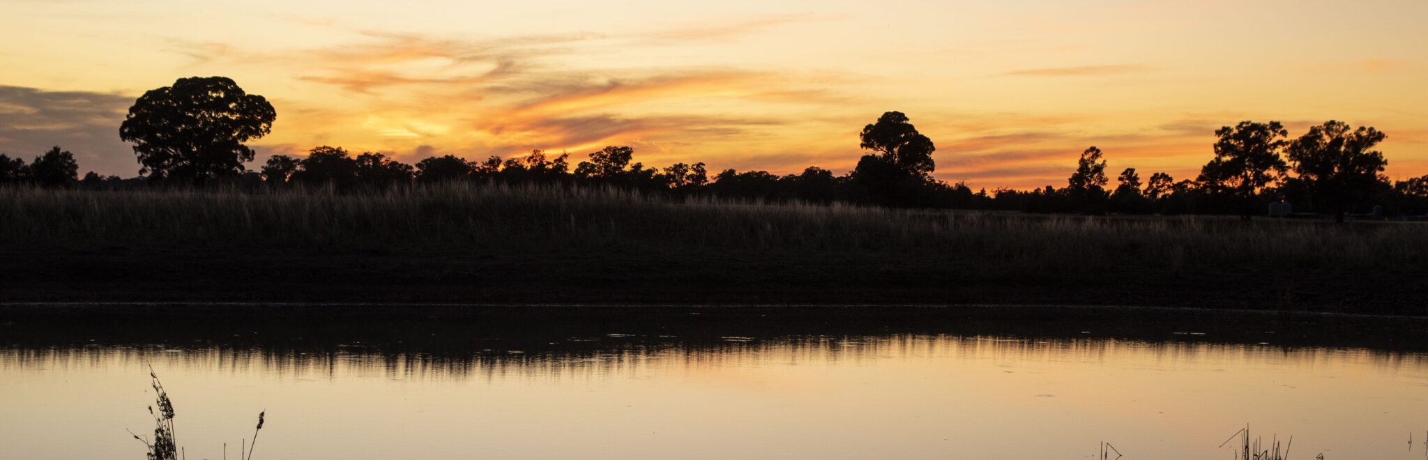Locum with Ochre Ochre Health