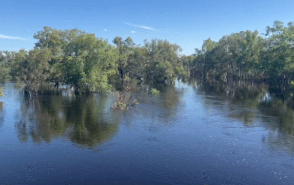 Walgett – Non-VR General Practitioner